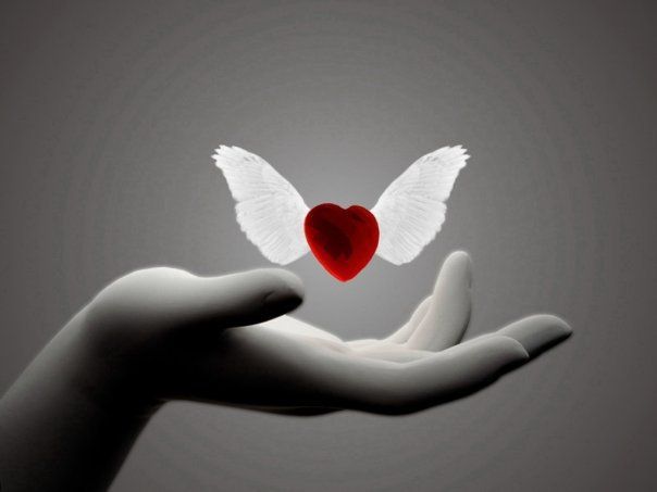 Mon dernier rêve... Coeur